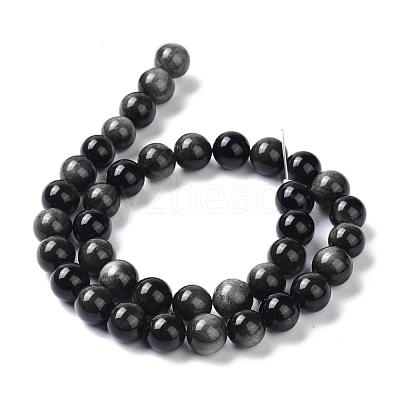 Natural Silver Obsidian Beads Strands G-D083-01C-1