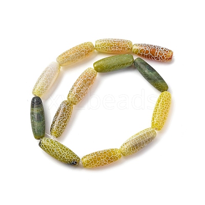 Natural Weathered Agate Beads Strands G-P570-C04-01-1