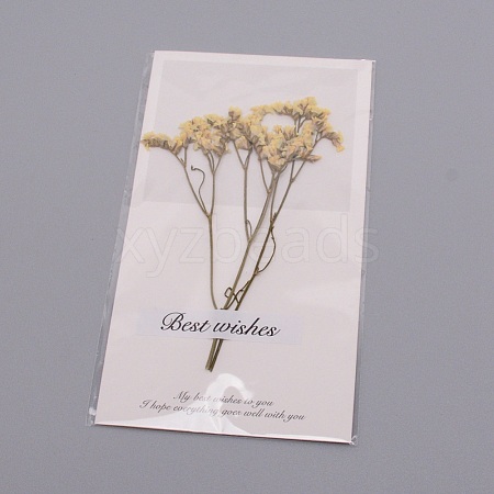Paper Cards DIY-WH0183-41G-1