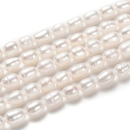Natural Cultured Freshwater Pearl Beads Strands PEAR-L033-62-1