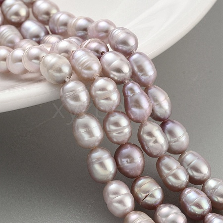 Natural Cultured Freshwater Pearl Beads Strands PEAR-P062-08E-1