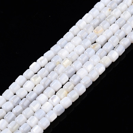 Natural Freshwater Shell Beads Strands SHEL-N003-33-B01-1