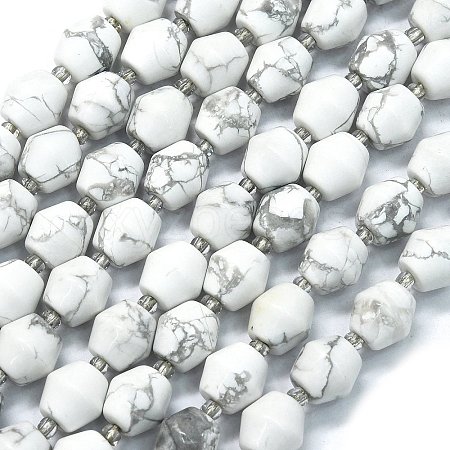 Natural Howlite Beads Strands G-K389-D20-01-1