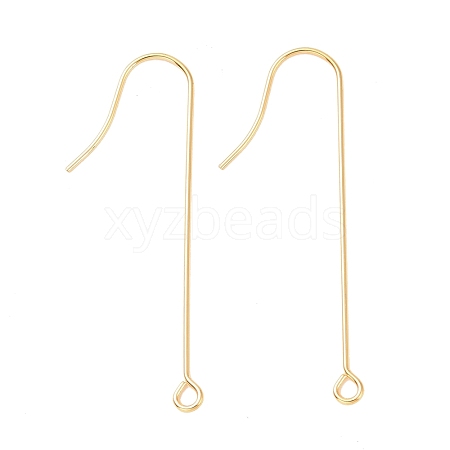 316 Surgical Stainless Steel Earring Hooks STAS-E027-02A-G-1