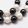 Shell Pearl Bead Strands BSHE-L017-13-3