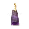 Natural Amethyst Pendants G-C045-01B-G-2