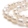 Natural Cultured Freshwater Pearl Beads Strands PEAR-L033-59-2