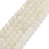 Natural White Moonstone Beads Strands G-D294-8mm-1