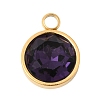 Birthstone Theme February 304 Stainless Steel Pendants STAS-K239-01G-A02-1