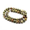 Natural Rhyolite Jasper Bead Strands G-G684-01-4mm-2