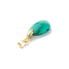 Brass Glass Pendants PALLOY-JF04501-5
