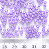 12/0 Baking Paint Glass Round Seed Beads SEED-S036-01A-08-3