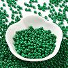 Baking Paint Glass Seed Beads SEED-H002-I-B508-2