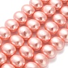 Shell Pearl Beads Strands BSHE-F013-01B-1