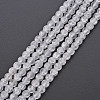 Crackle Glass Beads Strands GLAA-S192-D-006A-1