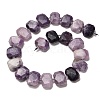 Natural Lepidolite Beads Strands G-H078-B14-01-3