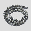 Natural Eagle Eye Beads Strands X-G-I281-02-4mm-4