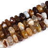 Natural Agate Beads Strands G-N356-01A-04-2