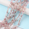 Natural Rose Quartz Beads Strands G-G0003-B05-2