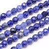 Natural Sodalite Beads Strands X-G-G545-16-1