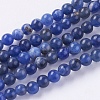 Natural Sodalite Beads Strands G-G515-4mm-07-1