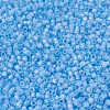 MIYUKI Delica Beads SEED-JP0008-DB0861-3