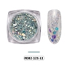 Shining Nail Art Glitter MRMJ-R082-123-12-2