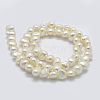 Natural Cultured Freshwater Pearl Beads Strands PEAR-K004-13C-01-2