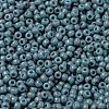 MIYUKI Round Rocailles Beads X-SEED-G008-RR4479-3