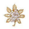 Maple Leaf Zinc Alloy Rhinestone Brooches PW-WGBDBEE-01-2