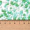 6/0 Opaque Baking Paint Glass Seed Beads SEED-M012-02A-27-4