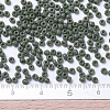 MIYUKI Round Rocailles Beads X-SEED-G007-RR0501-1