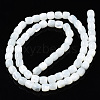 Natural Trochid Shell/Trochus Shell Beads Strands X-SSHEL-N034-121-B01-2