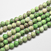 Natural Imperial Jasper Beads Strands G-I122-10mm-01-1