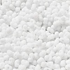 Glass Frosted Seed Beads SEED-K009-05B-01-3