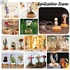   4 Sets Transparent Glass Dome Jar Cloche Display Cases AJEW-PH0011-24B-5