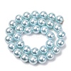 Electroplated Shell Pearl Beads Strands BSHE-G041-12mm-03-2