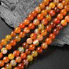 Natural Striped Agate/Banded Agate Beads Strands G-I254-03B-02-1