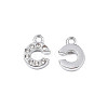 304 Stainless Steel Charms STAS-N095-137C-2