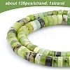 1 Strand Natural Serpentine Beads Strands G-OC0003-10-3