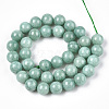 Natural Myanmar Jade/Burmese Jade Beads Strands G-T064-22-10mm-2