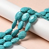 Natural Howlite Beads Strands G-C025-05-2