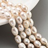 Natural Cultured Freshwater Pearl Beads Strands PEAR-P062-18-2