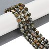 Natural Rhyolite Jasper Beads Strands G-O201B-122F-1