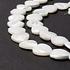 Natural Trochid Shell/Trochus Shell Beads SSHEL-O001-27D-3