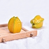 Resin Simulation Fruits Mini Model PW-WG4C45C-03-1