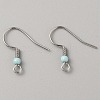 304 Stainless Steel Earring Hooks STAS-WH0027-64P-07-1