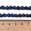 Natural Lapis Lazuli Beads Strands G-Z119-A39-01-6