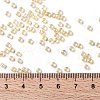 TOHO Round Seed Beads X-SEED-TR08-0770-3