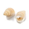 Natural Spiral Shell Beads BSHE-G038-06C-2